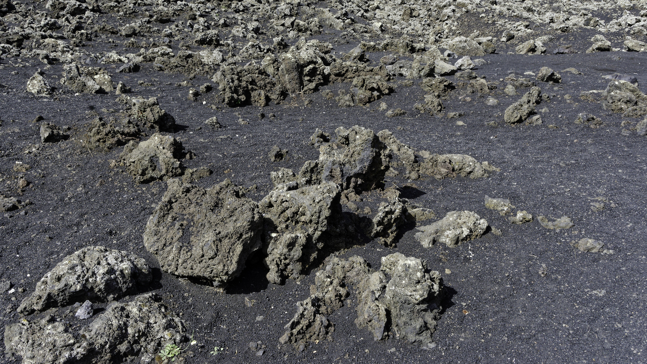 20231023 122946•Zafferana Etnea•Sicily•Italy